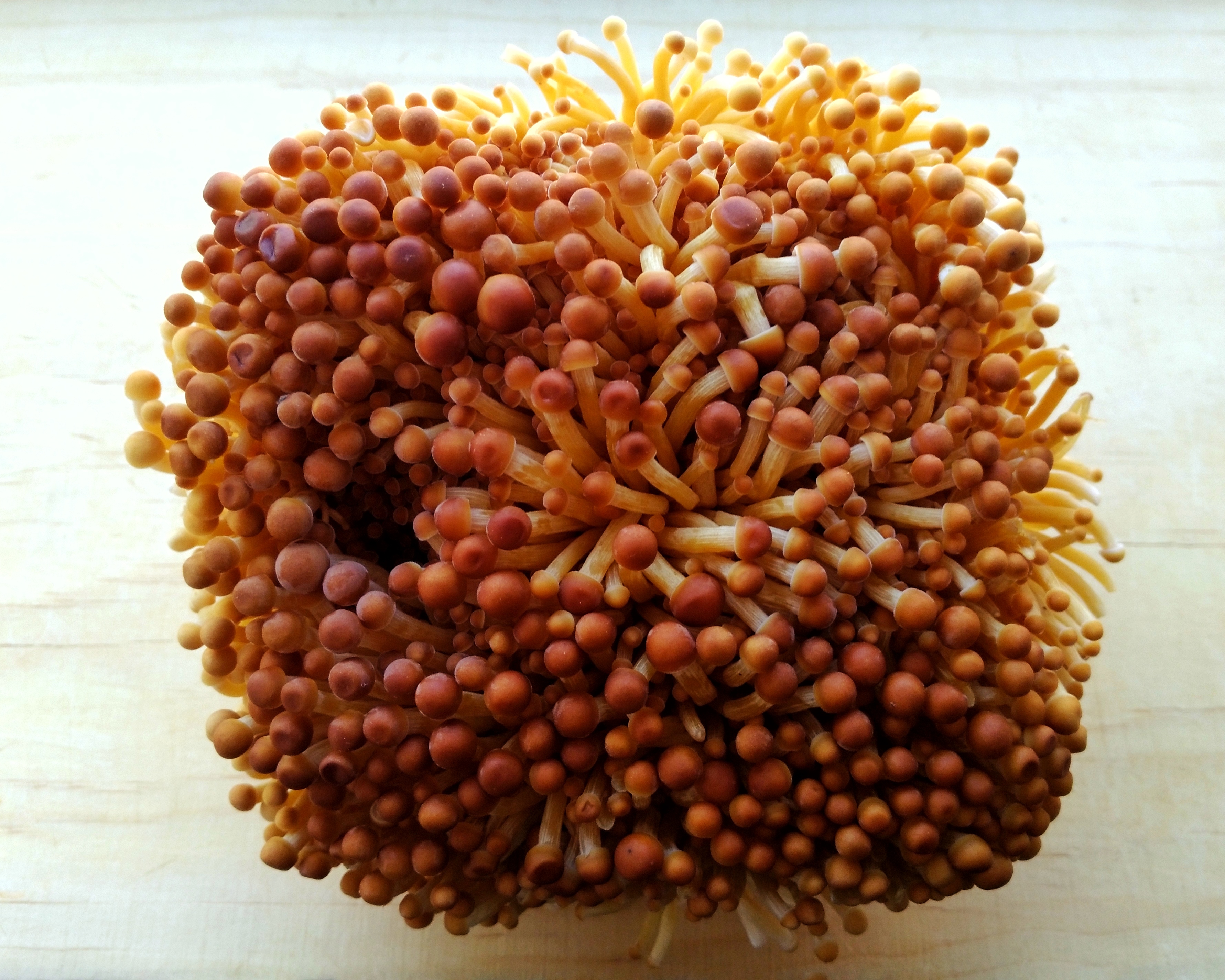 Golden enoki mushrooms with long stems and small caps